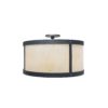 National Parks Round Ceiling Mount light