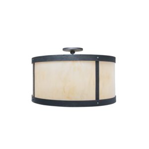 National Parks Round Ceiling Mount light